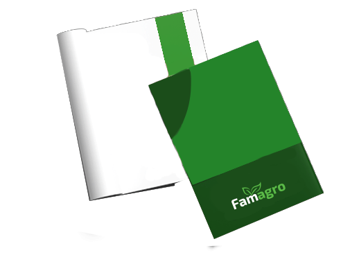 Katalog