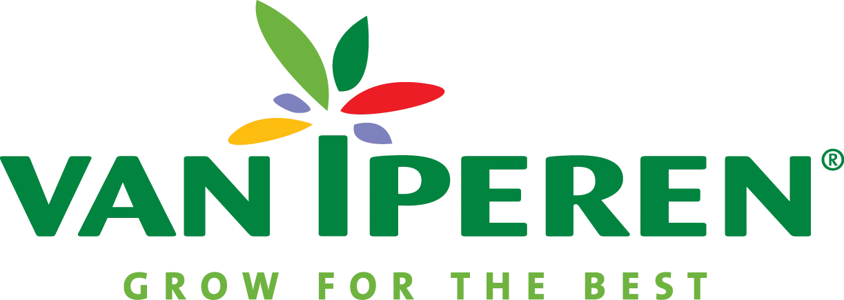 Vaniperen